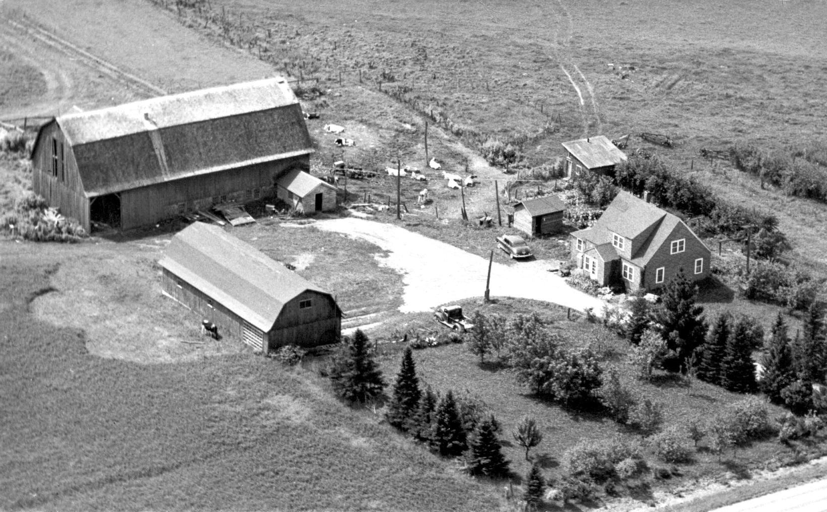 Martin & Ludmilla (Rothamer) Van Laarhoven farm