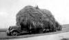 Reinhold Farm - Haying with Platform Truck